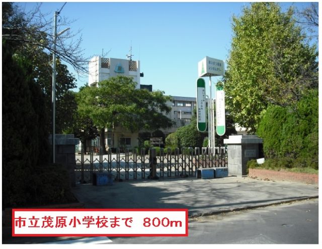小学校　市立茂原小学校（小学校）まで800m