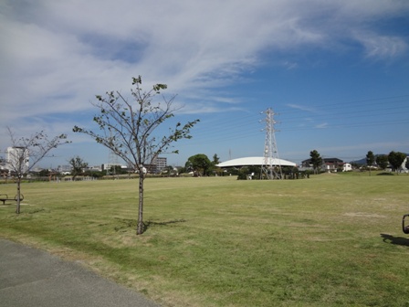 公園　津福公園（公園）まで825m