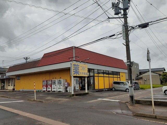 ドラックストア　大手薬品新潟和納店（ドラッグストア）まで1900m