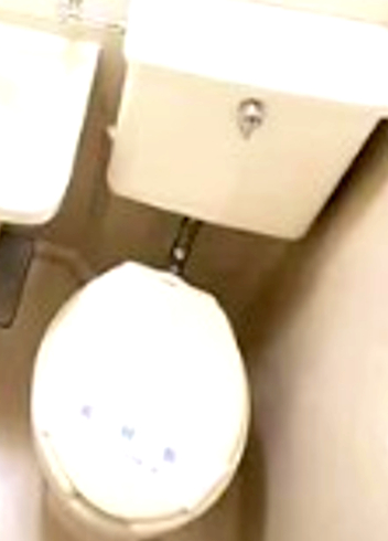 トイレ　トイレです