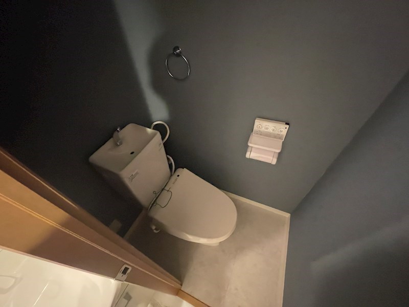 トイレ　※同タイプの他のお部屋です