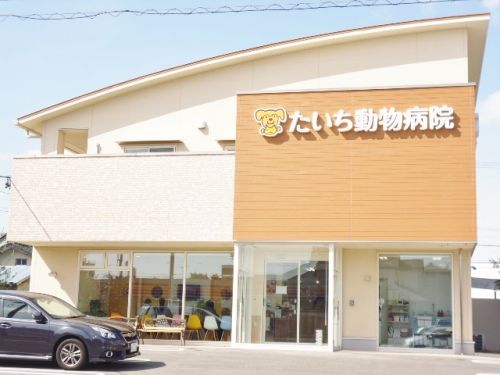 病院　たいち動物病院（病院）まで876m