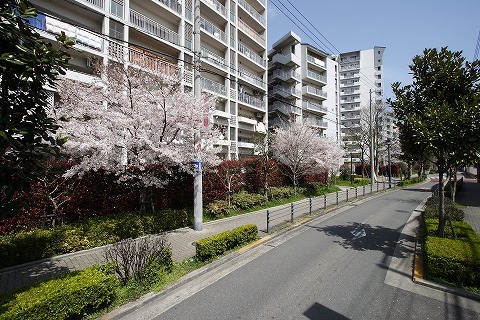 その他共有部分　敷地内２（桜）