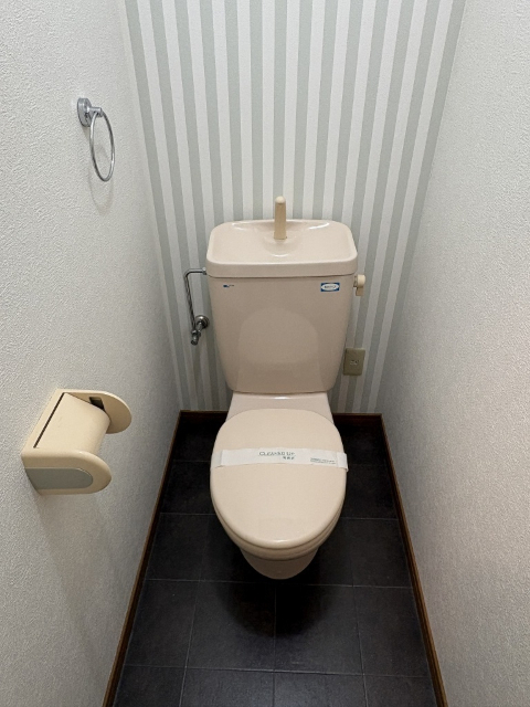 ニュー大松マンションのトイレ写真