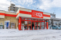 ショッピングセンター　ザ・ビッグエクスプレス平岸店（ショッピングセンター）まで1593m
