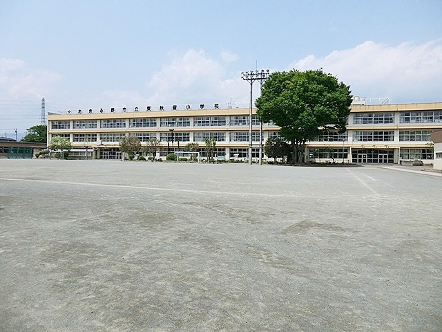 小学校　江東区立南陽小学校（小学校）まで202m