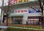 ドラックストア　スギ薬局小幡店（ドラッグストア）まで960m