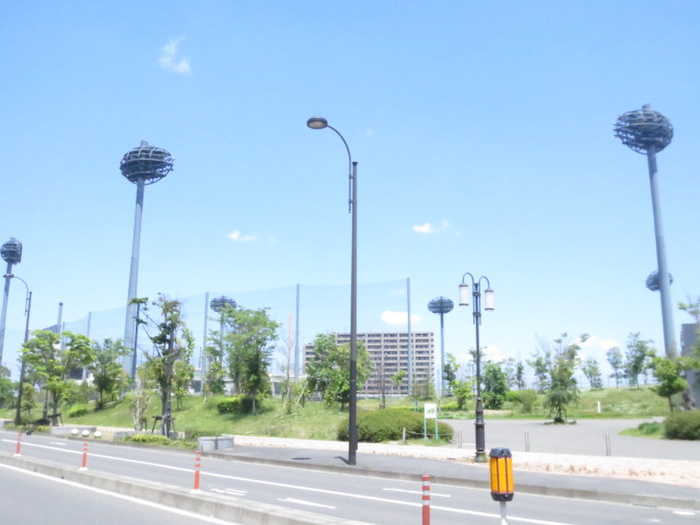 公園　仙台市新田東総合運動場（公園）まで800m