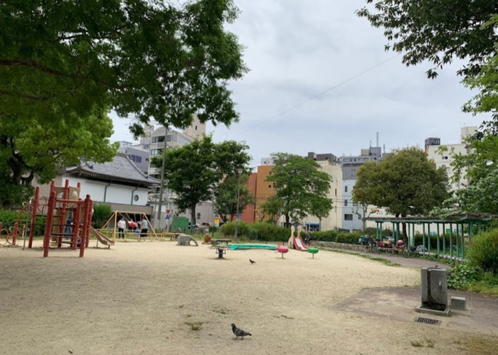 公園　新栄公園（公園）まで210m
