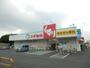 ドラックストア　スギ薬局津田沼店（ドラッグストア）まで441m