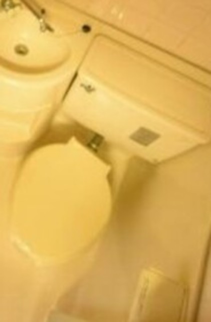 トイレ　同仕様タイプ