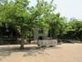 公園　蕨市民公園（公園）まで420m