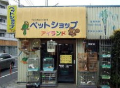 その他　ペットショップアイランド（その他）まで406m