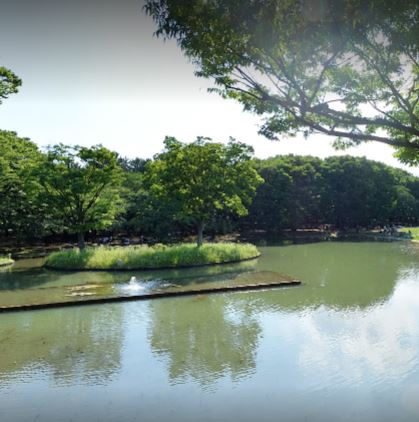 公園　都立代々木公園西参道口（公園）まで724m