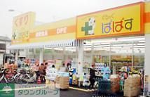 ドラックストア　どらっぐぱぱす柴又３丁目店（ドラッグストア）まで325m