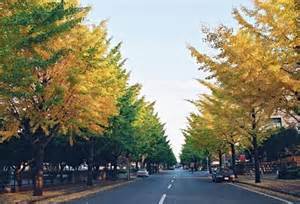 公園　陽南第一公園（公園）まで602m