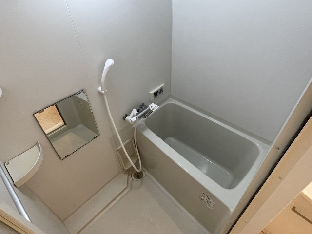 バス・シャワールーム　落ち着いた空間のお風呂です