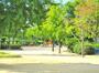 公園　下福島公園（公園）まで1295m