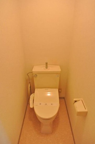 西武拝島線 西武立川駅 徒歩16分 3階建 築32年のトイレ写真