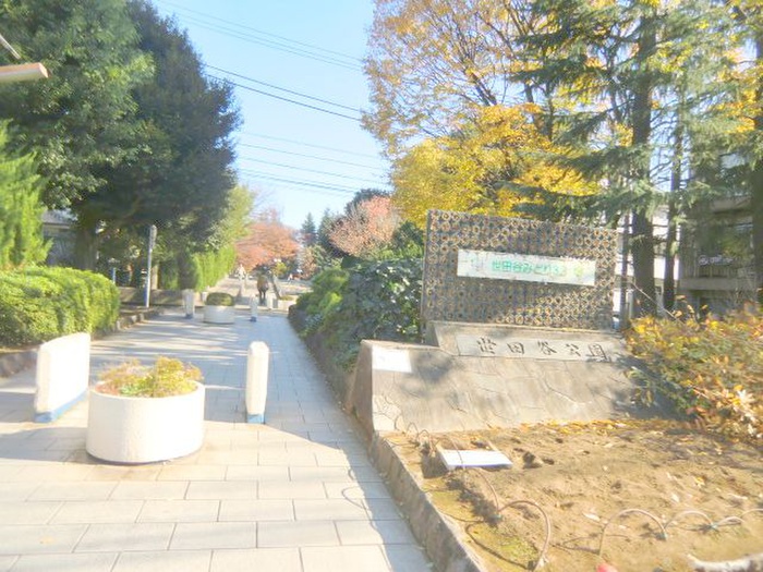 公園　世田谷公園（公園）まで884m