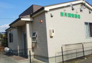 ドラックストア　新川調剤薬局（ドラッグストア）まで79m