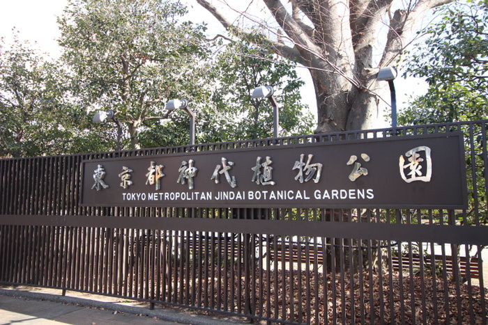 公園　神代植物公園（公園）まで1000m