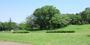 公園　月出松公園（公園）まで428m