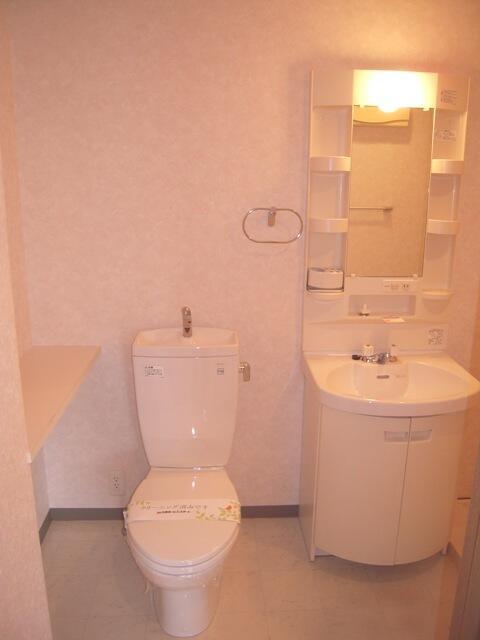 ＪＲ根岸線 石川町駅 徒歩1分 3階建 築22年のトイレ写真
