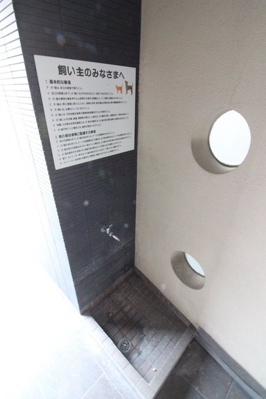 鹿児島市電唐湊線 高見橋駅 徒歩21分 7階建 築19年の外観写真