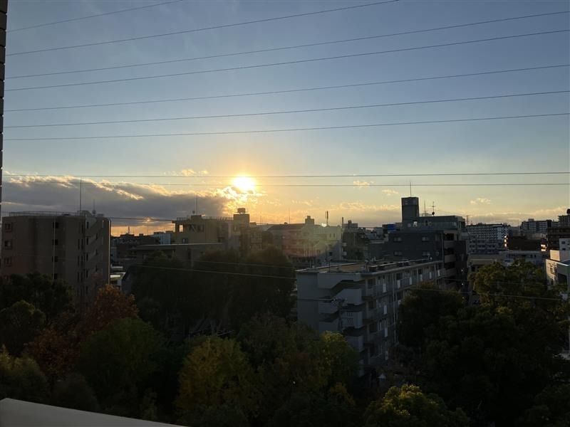 眺望