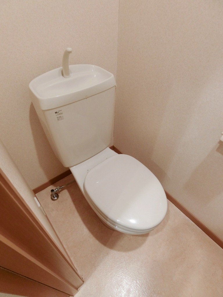 トイレ　トイレ上部に棚あり