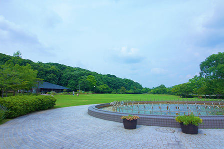 その他共有部分　家族で元気に遊べる、大きな芝生広場のある公園です。「ウッディ