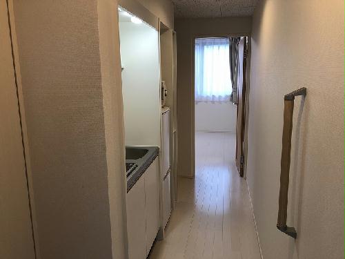 玄関　リフォーム済み