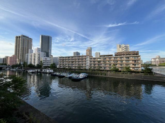 眺望