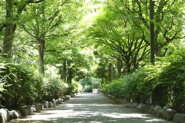 公園　洲崎川緑道公園（公園）まで774m