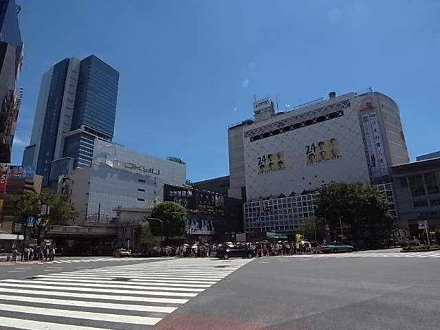 その他　渋谷駅（その他）まで343m