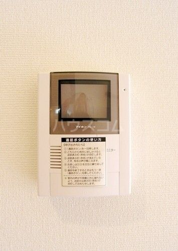 スカーレットのその他写真