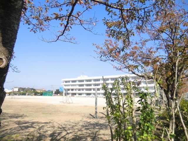 【三郷市早稲田のマンションの小学校】