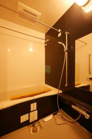 バス・シャワールーム　アパートメンツ巣鴨の風呂