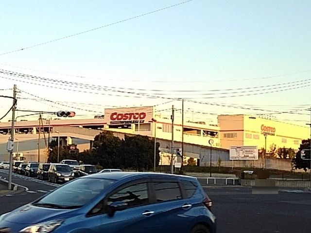 スーパー　コストコホール（スーパー）まで550m
