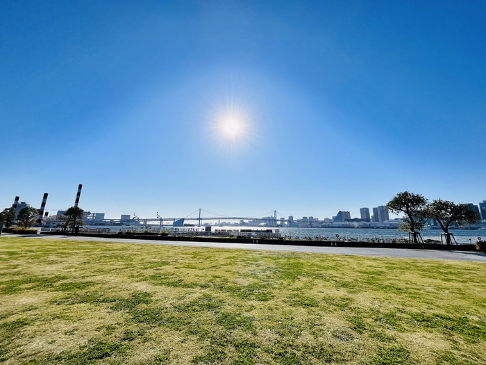 公園　晴海埠頭公園（公園）まで236m