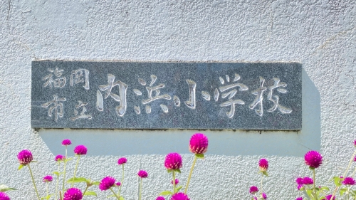 小学校　内浜小学校（小学校）まで818m
