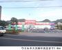 ドラックストア　ウエルネス大田中央店（ドラッグストア）まで1400m
