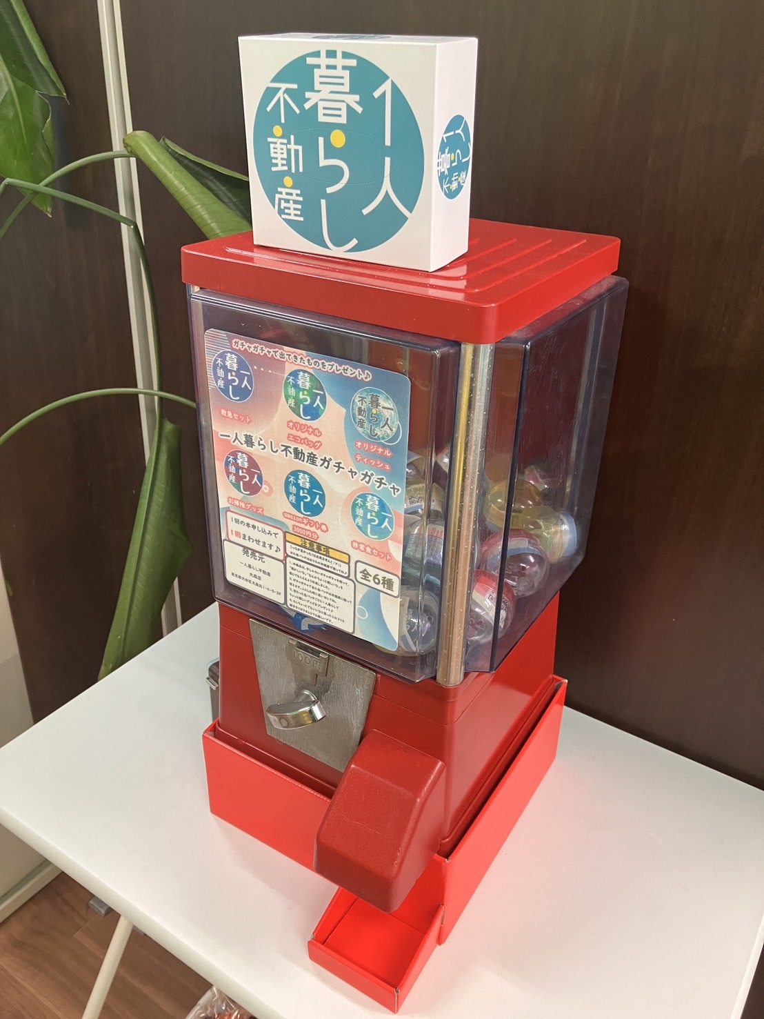 お申込み頂いた方に、ガチャガチャを引いてちょっと嬉しい1人暮らしに役立つグッズプレゼント♪