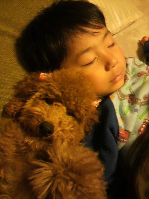 ペットと一緒に住みたいならぜひ一度ご来店ください。新築ペット物件もお楽しみに！