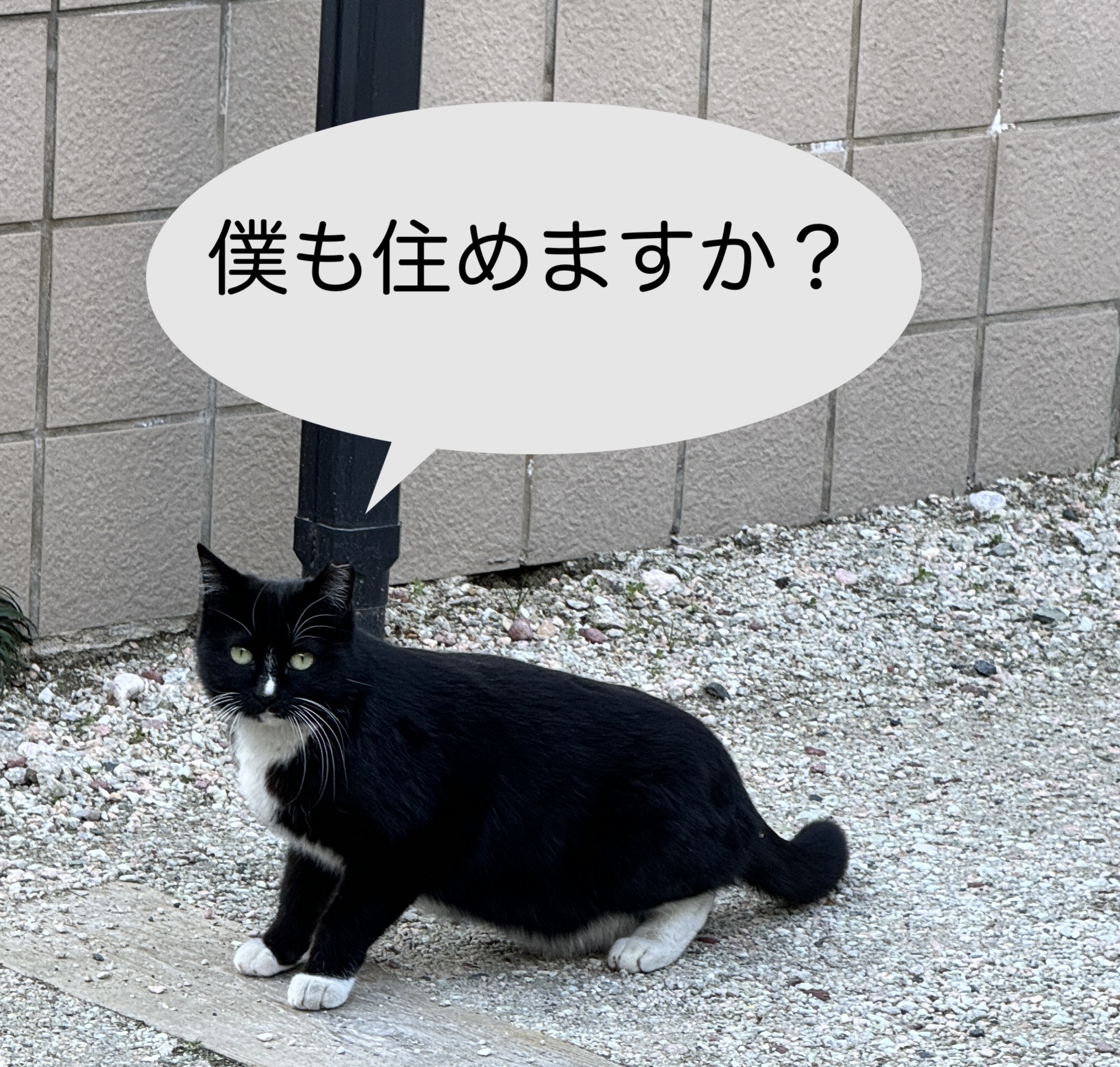 お部屋探しに不安をお持ちの方でもお気軽にご希望をお話しください☆