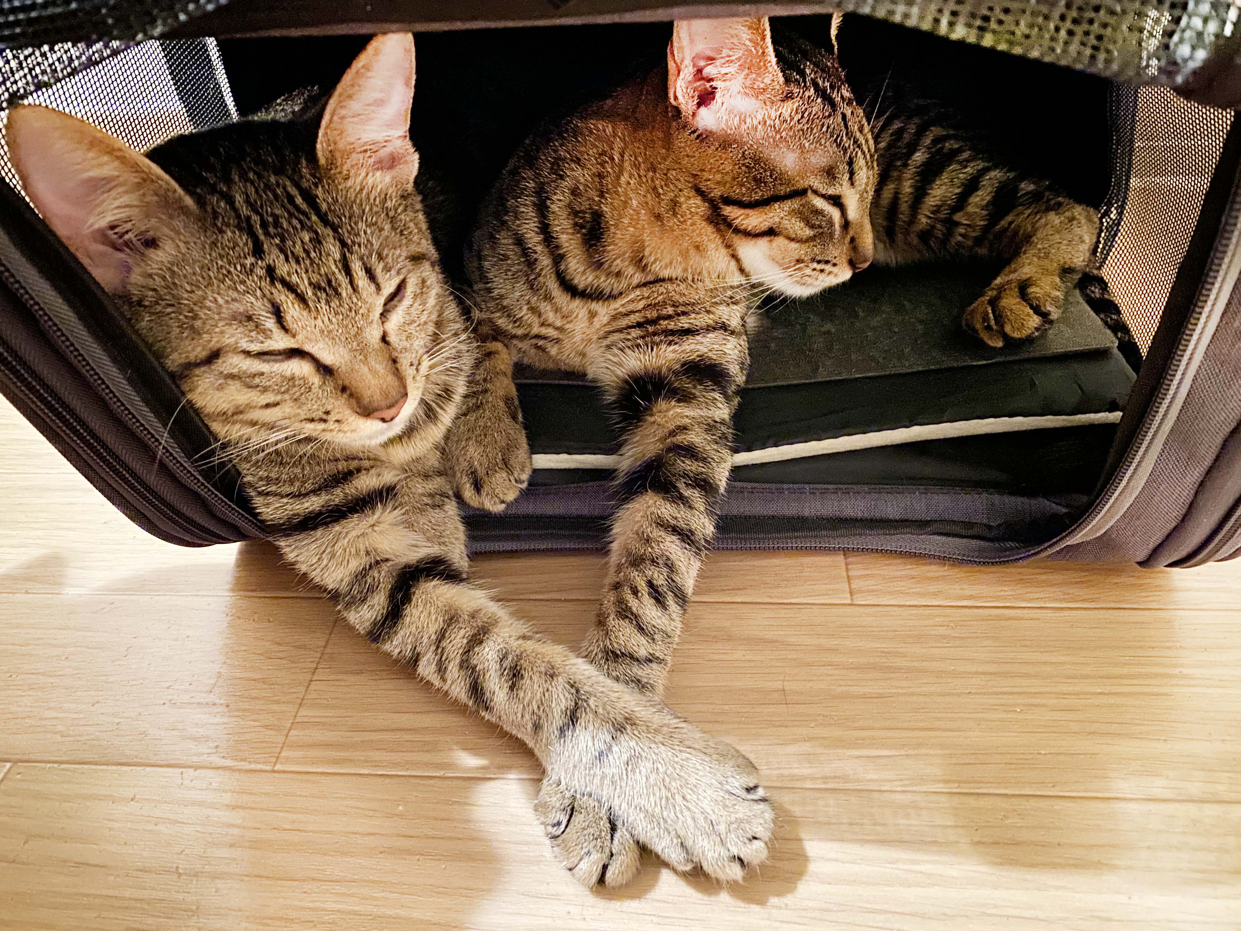 『素敵なお部屋探し』をテーマに経験豊富なスタッフがお部屋探しをサポートいたします！