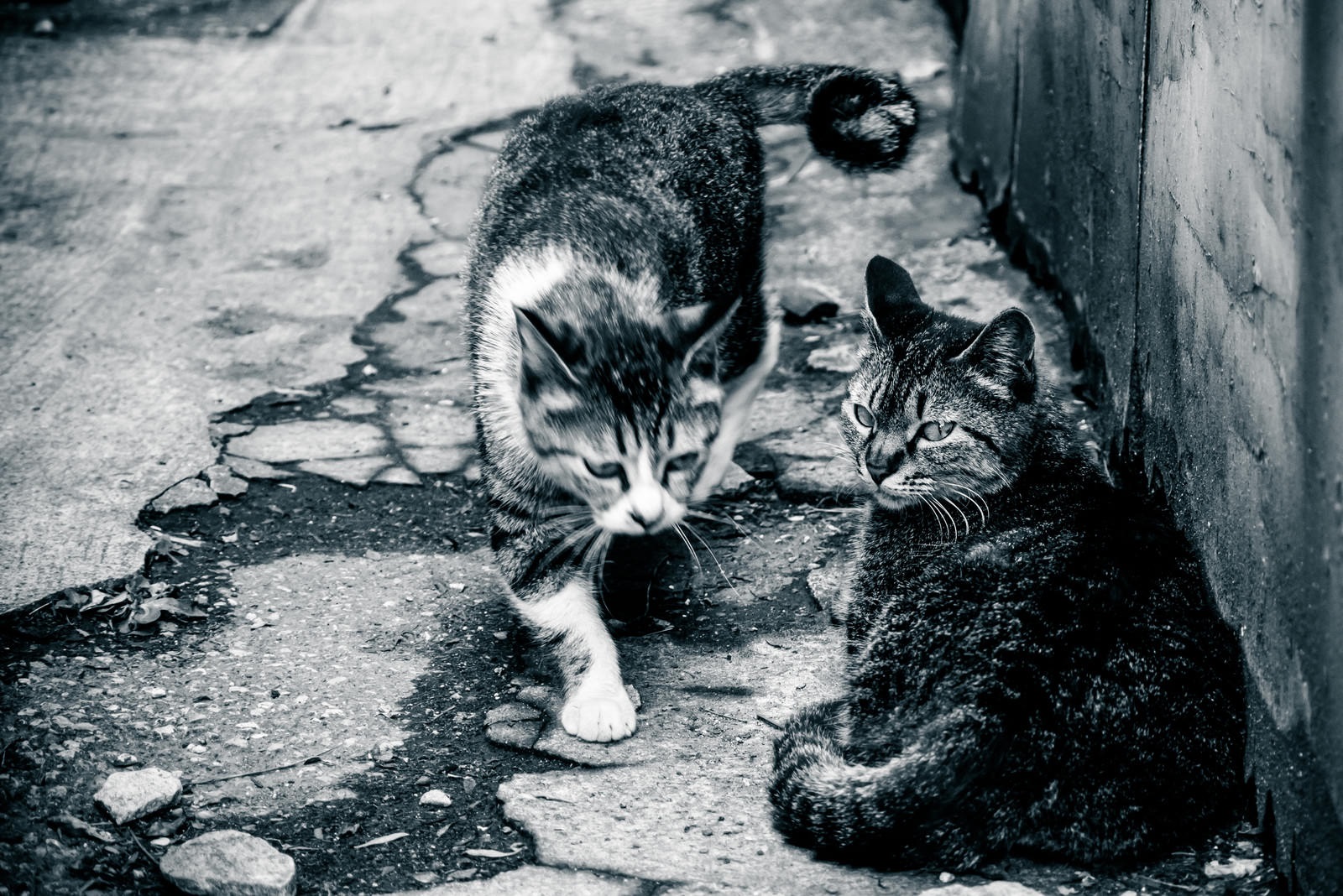 地元出身者多数、女性スタッフも多数在籍★物件情報だけでなく、地元に密着した情報にも精通しております♪