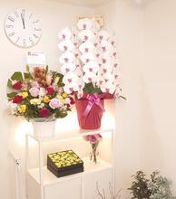 【店舗写真】(株)さくらレーベン