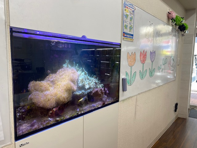 当店ではコロナウイルス対策でスタッフ一同マスク着用・飛沫感染防止対策・換気の徹底をしております。